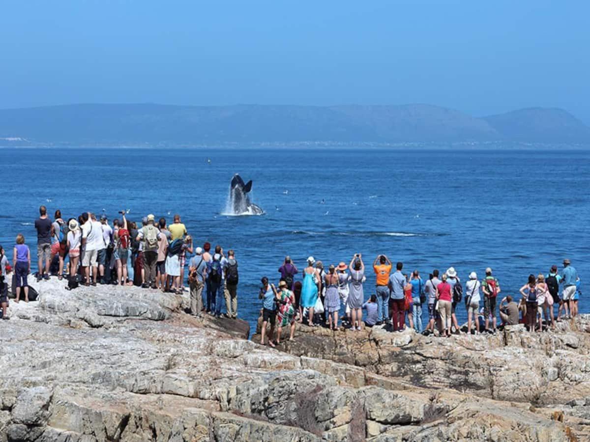 Hermanus Waterfront Apartment 客房 照片